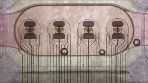 World's first bioprocessor uses 16 human brain organoids for ‘a million times less power’ consumption than a digital chip